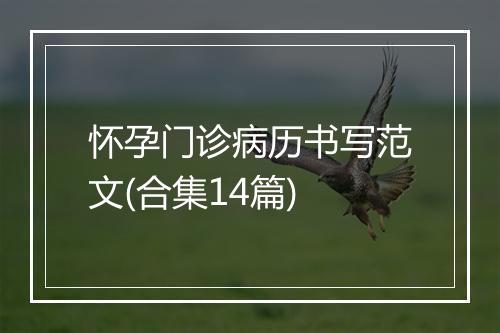 怀孕门诊病历书写范文(合集14篇)