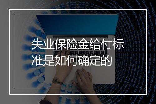失业保险金给付标准是如何确定的