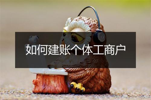 如何建账个体工商户
