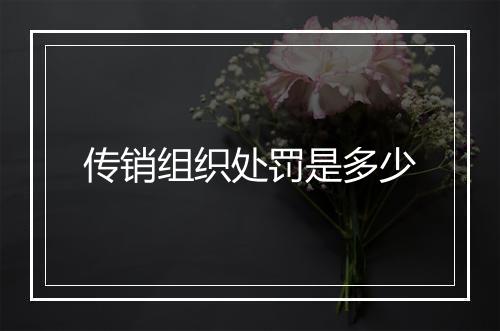 传销组织处罚是多少