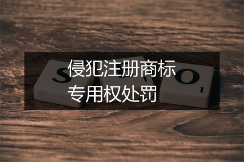 侵犯注册商标专用权处罚