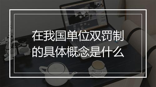 在我国单位双罚制的具体概念是什么
