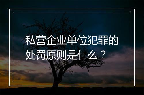 私营企业单位犯罪的处罚原则是什么？