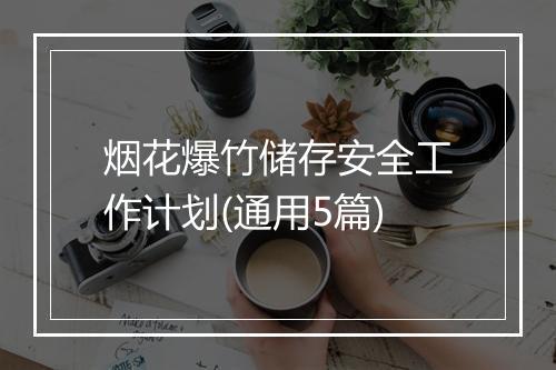 烟花爆竹储存安全工作计划(通用5篇)