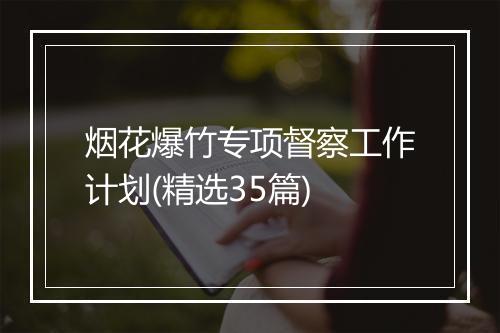 烟花爆竹专项督察工作计划(精选35篇)