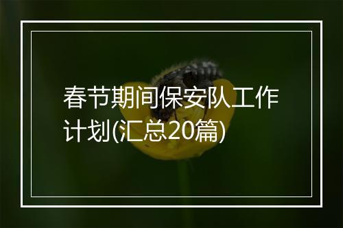 春节期间保安队工作计划(汇总20篇)