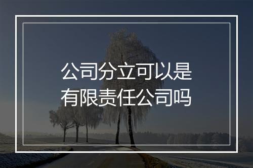 公司分立可以是有限责任公司吗