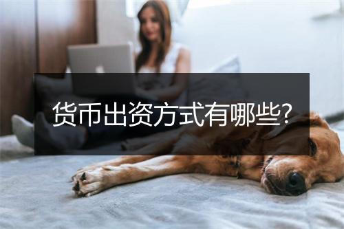 货币出资方式有哪些?