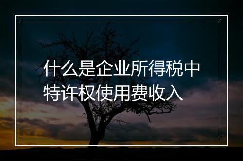 什么是企业所得税中特许权使用费收入