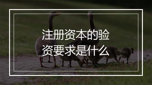 注册资本的验资要求是什么
