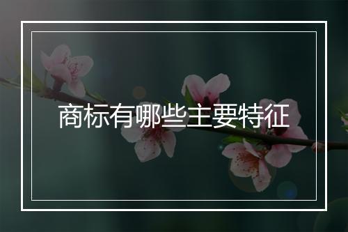 商标有哪些主要特征