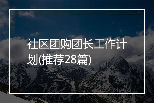 社区团购团长工作计划(推荐28篇)