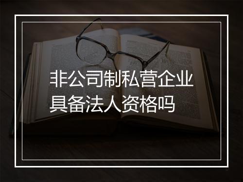 非公司制私营企业具备法人资格吗