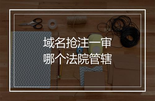 域名抢注一审哪个法院管辖