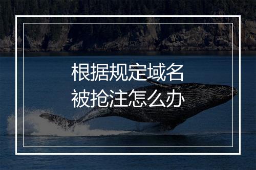 根据规定域名被抢注怎么办