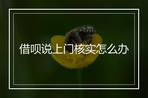 借呗说上门核实怎么办