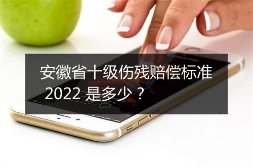 安徽省十级伤残赔偿标准 2022 是多少？