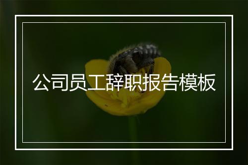 公司员工辞职报告模板