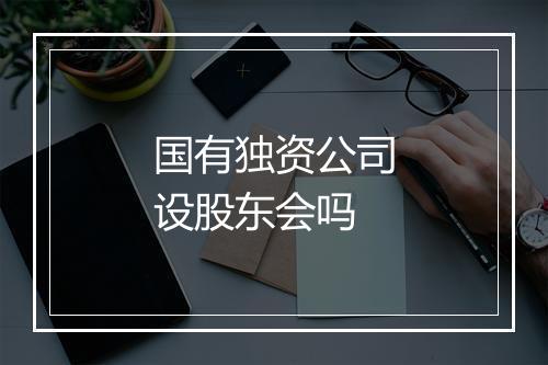 国有独资公司设股东会吗