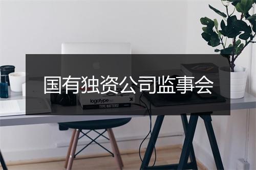 国有独资公司监事会
