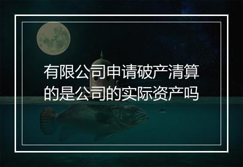 有限公司申请破产清算的是公司的实际资产吗