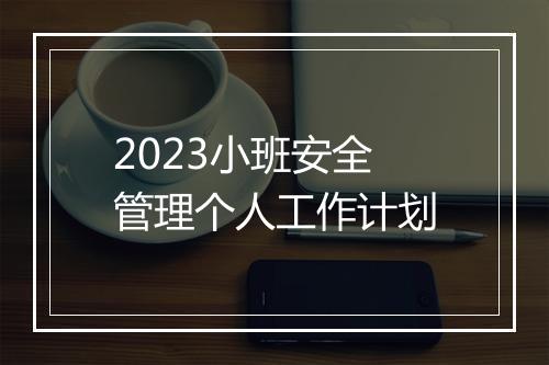 2023小班安全管理个人工作计划