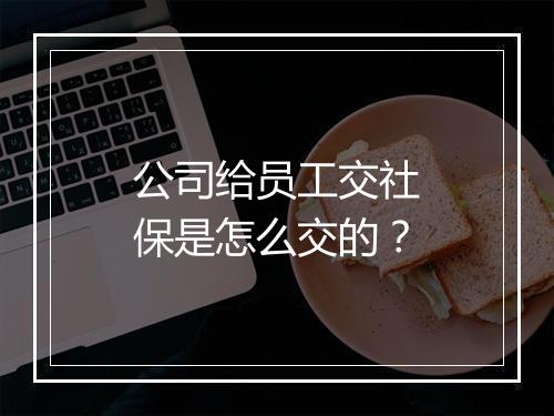公司给员工交社保是怎么交的？