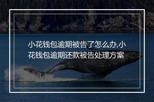 小花钱包逾期被告了怎么办,小花钱包逾期还款被告处理方案