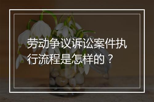 劳动争议诉讼案件执行流程是怎样的？