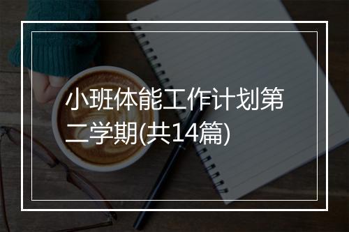 小班体能工作计划第二学期(共14篇)