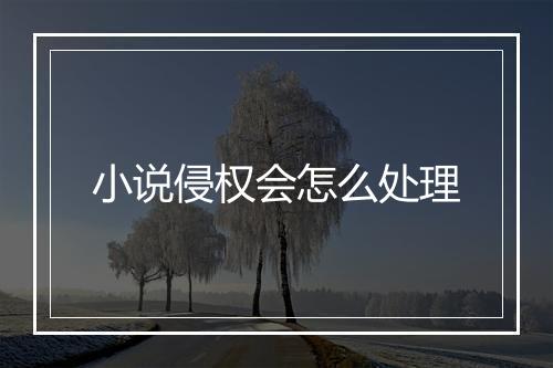 小说侵权会怎么处理