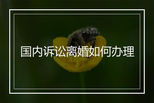 国内诉讼离婚如何办理