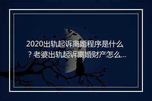 2020出轨起诉离婚程序是什么？老婆出轨起诉离婚财产怎么分？