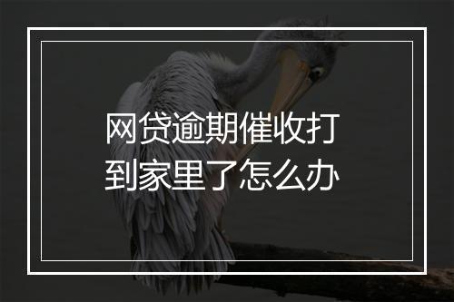 网贷逾期催收打 到家里了怎么办