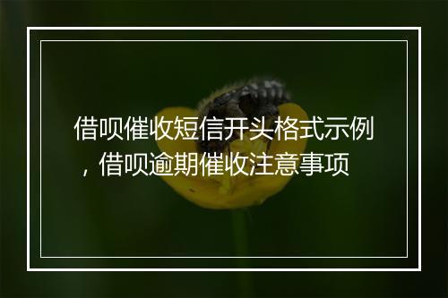 借呗催收短信开头格式示例，借呗逾期催收注意事项