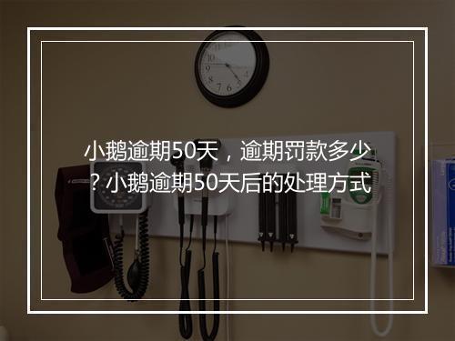 小鹅逾期50天，逾期罚款多少？小鹅逾期50天后的处理方式