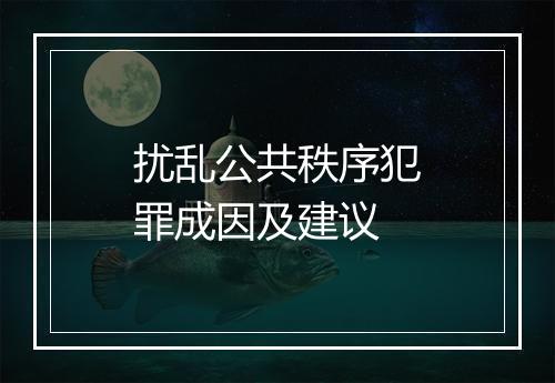 扰乱公共秩序犯罪成因及建议
