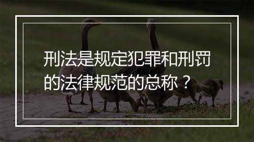 刑法是规定犯罪和刑罚的法律规范的总称？