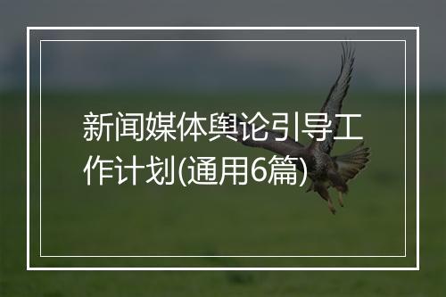 新闻媒体舆论引导工作计划(通用6篇)