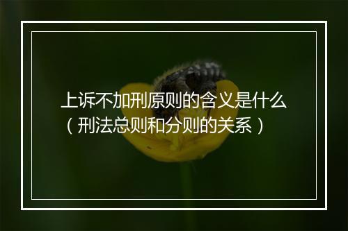 上诉不加刑原则的含义是什么（刑法总则和分则的关系）