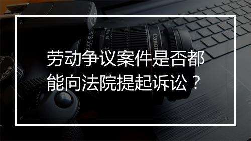 劳动争议案件是否都能向法院提起诉讼？