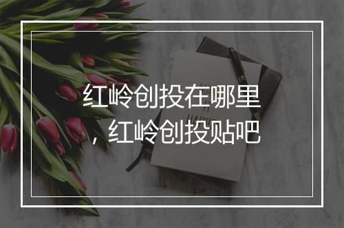 红岭创投在哪里，红岭创投贴吧