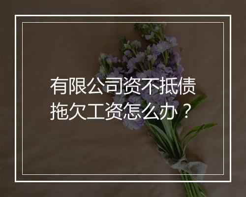 有限公司资不抵债拖欠工资怎么办？