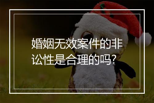 婚姻无效案件的非讼性是合理的吗?