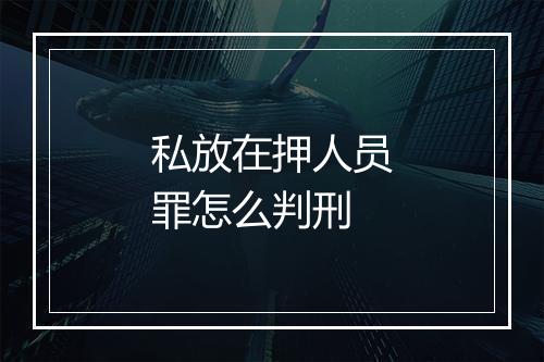 私放在押人员罪怎么判刑