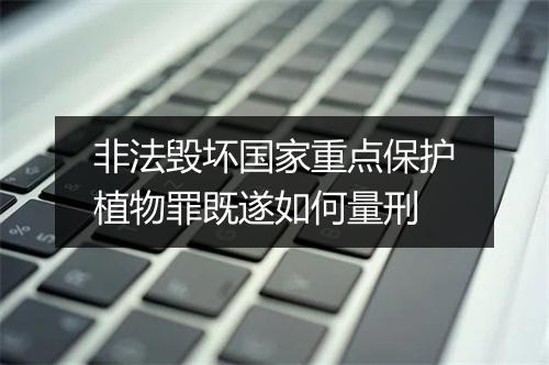 非法毁坏国家重点保护植物罪既遂如何量刑