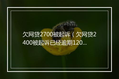 欠网贷2700被起诉（欠网贷2400被起诉已经逾期120天）