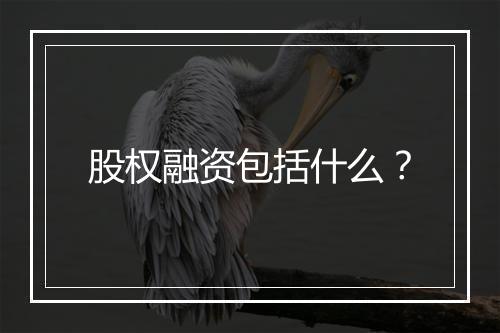 股权融资包括什么？