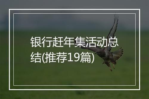 银行赶年集活动总结(推荐19篇)