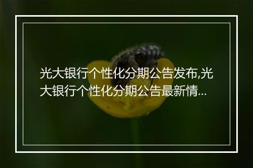 光大银行个性化分期公告发布,光大银行个性化分期公告最新情况